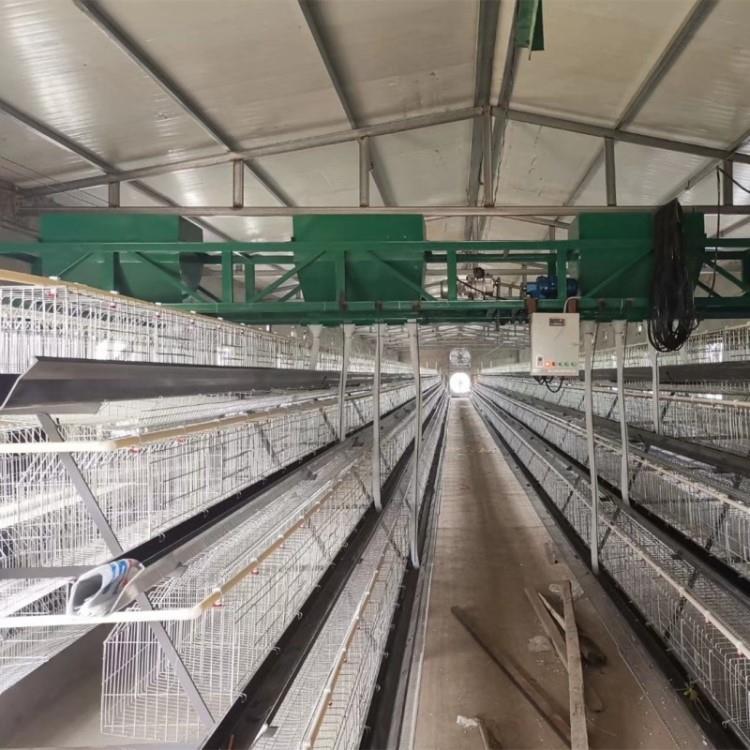 蛋鸡养殖饲喂设备蛋鸡肉鸡自动化养殖设备自动投料系统