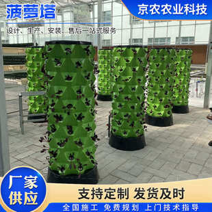 菠萝塔立体水培种植系统气雾栽培水果蔬菜种植设备无土栽培