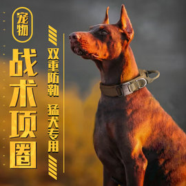 狗脖圈大型犬狗狗项圈防爆冲牵引绳战术项圈，颈圈套栓狗链遛狗神器