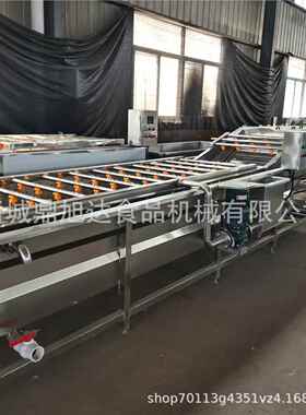 KVF果气泡清机洗机大型全自动水果清菜洗线蔬多功能蔬菜清洗设备