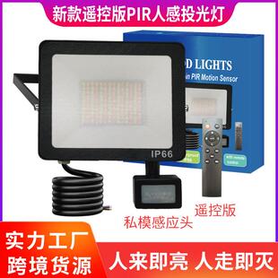 新品 PIR人感投光灯户外楼道庭院家用照明防水防晒 上市LED遥控版