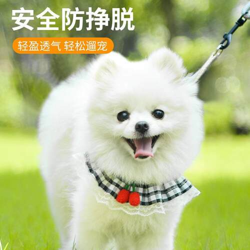 围脖胸背带狗狗牵引绳博美泰迪狗绳猫绳比熊小型犬宠物猫绳子狗链