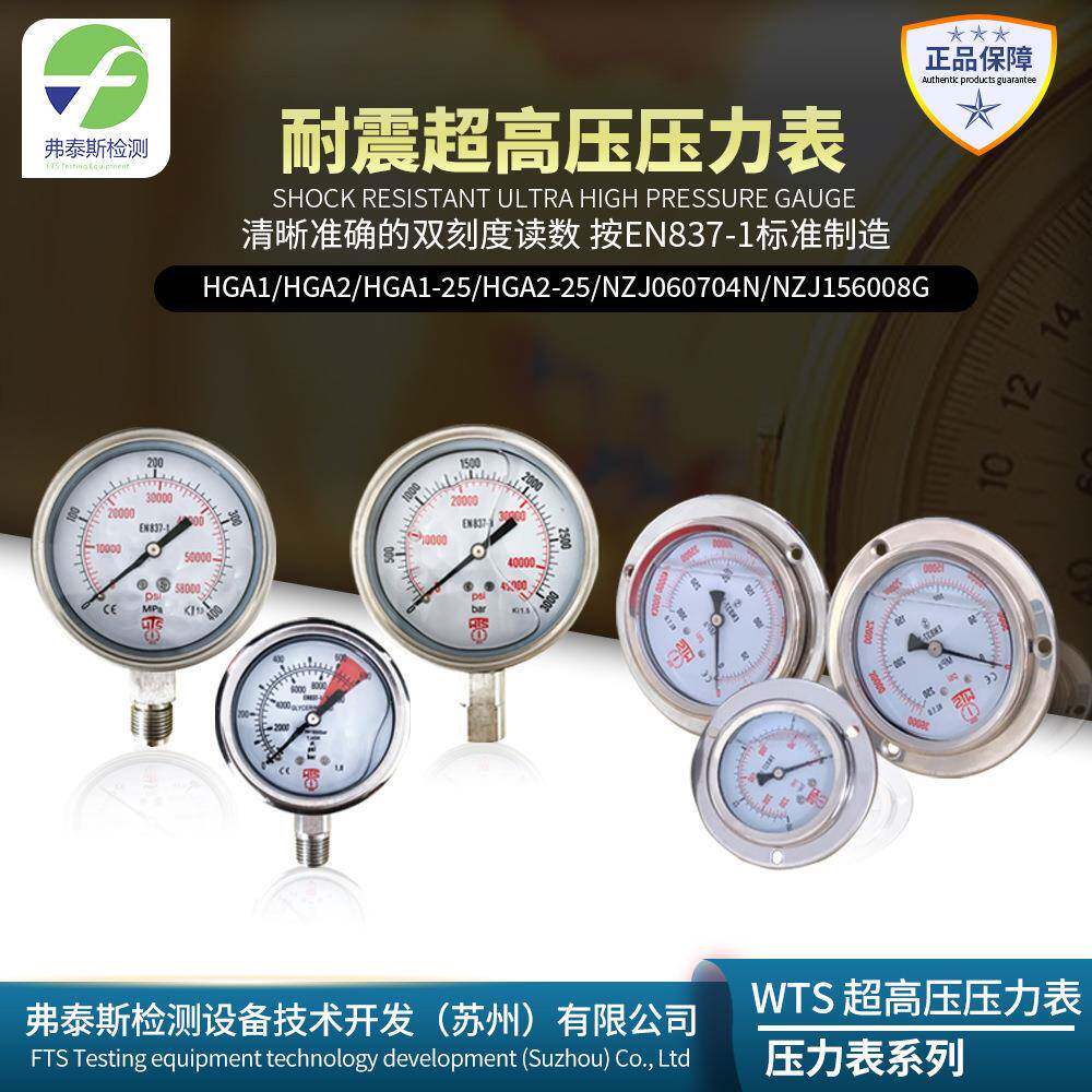 高压耐震压力表NZJ-103008G数字压力表充油抗震法兰边面板背接式