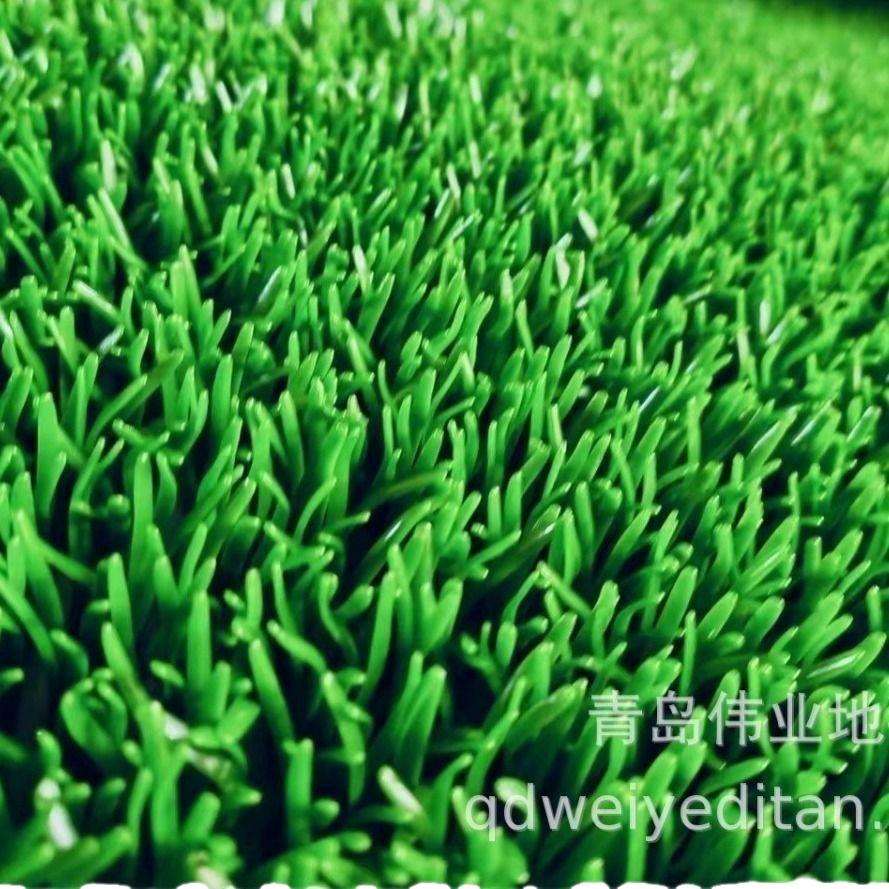 源头工厂直销进口材料生产30MM吸金草人造草皮 吸金布 抓金毯 收