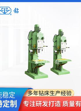 现货销售立式钻床z5125B立式钻床5125立钻高效精密切削