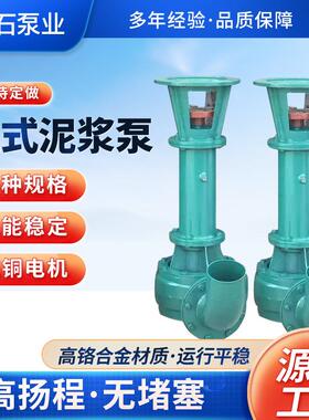 泥浆泵NL50-10立式无堵塞污水大流量液下排泥铸铁1.5kw泥浆排污泵