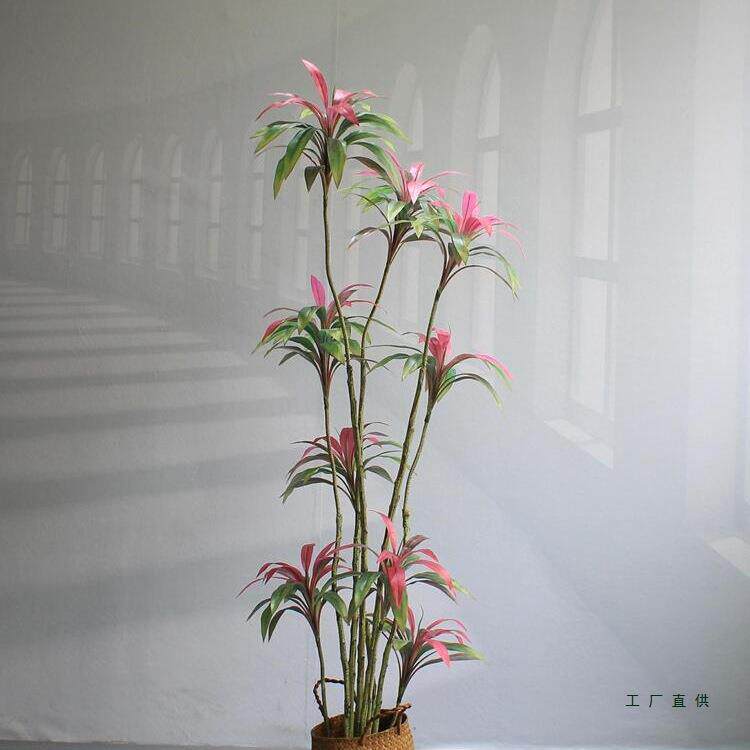 绿植物朱蕉铁树橱窗民宿酒店铺客厅大型落地装饰摆件盆景