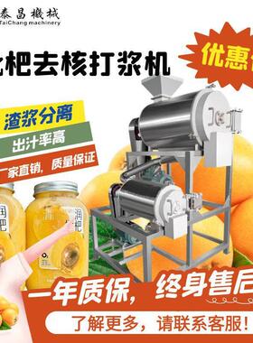 大型枇杷去核打浆机工业去核枇杷深加工机器枇杷浓缩果酱加工设备