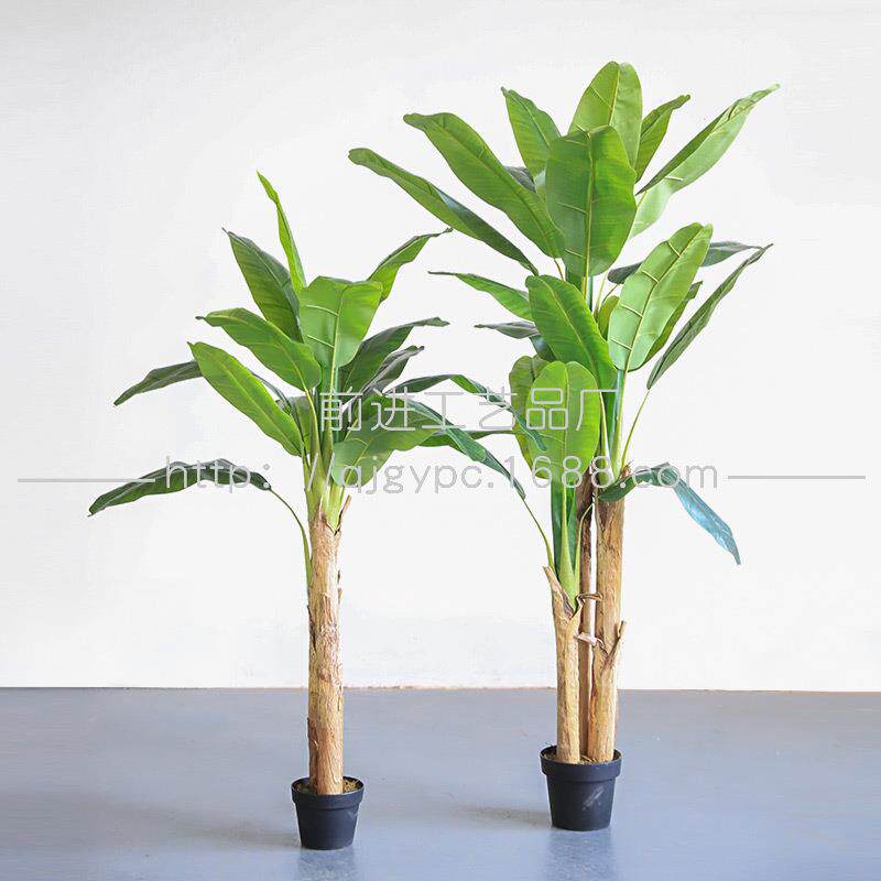 现货绿植酒店餐饮店热带雨林景观造景假植物盆栽芭蕉树绿植