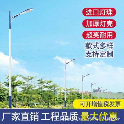 LED户外路灯道路照明灯农村乡村小区街道道路照明灯市电路灯厂家