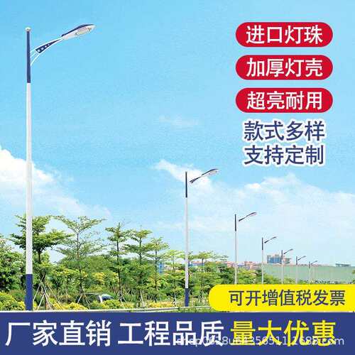 LED户外路灯道路照明灯农村乡村小区街道道路照明灯市电路灯厂家