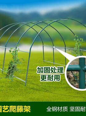 楼顶阳台爬藤支架钢管蔬菜瓜架庭院花园用棚架可选长宽高尺寸