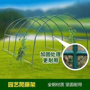 楼顶阳台爬藤支架 钢管蔬菜瓜架庭院花园用棚架 可选长宽高尺寸