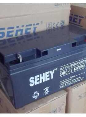 SEALEAD西力蓄电池 SL12-100 12V100AH 船舶/通讯/地铁/UPS直流屏