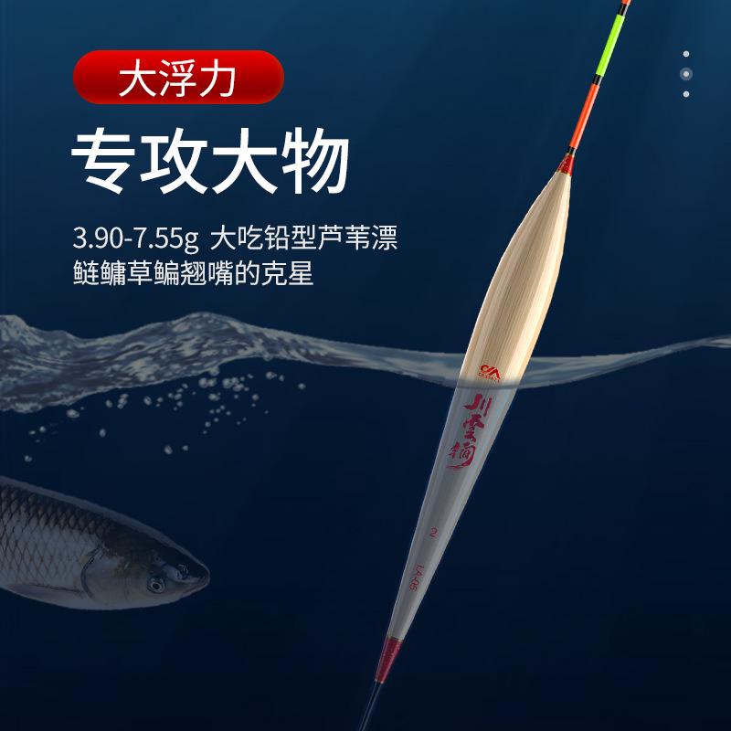 草抗翘川加粗漂物鳙鱼漂行程嘴走水鲢泽超醒目大浮漂la远投芦苇鳊