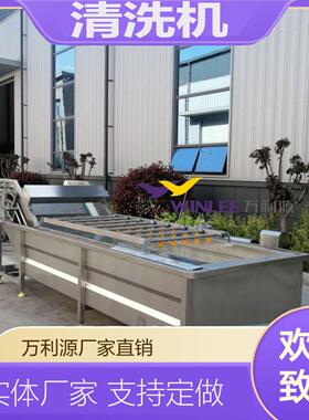 工业冲浪式清洗机 果蔬清洗风干流水线 海产品解冻去泥沙清洗机器