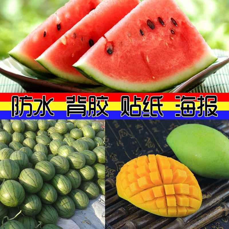 装饰画 画 西瓜壁纸海报贴画 画 图片贴图墙壁自贴背胶画 画 广告