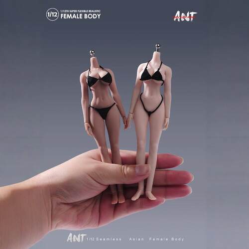 现货  ANT 1/12 N306B 可动人偶女素体健美运动版素体 兵人手办