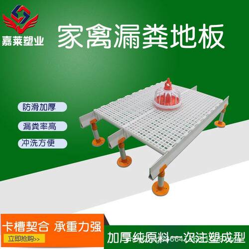 鸡鸭鹅家禽漏粪板鸽子粪板养鸡设备养殖设备畜牧塑料板漏粪板模具