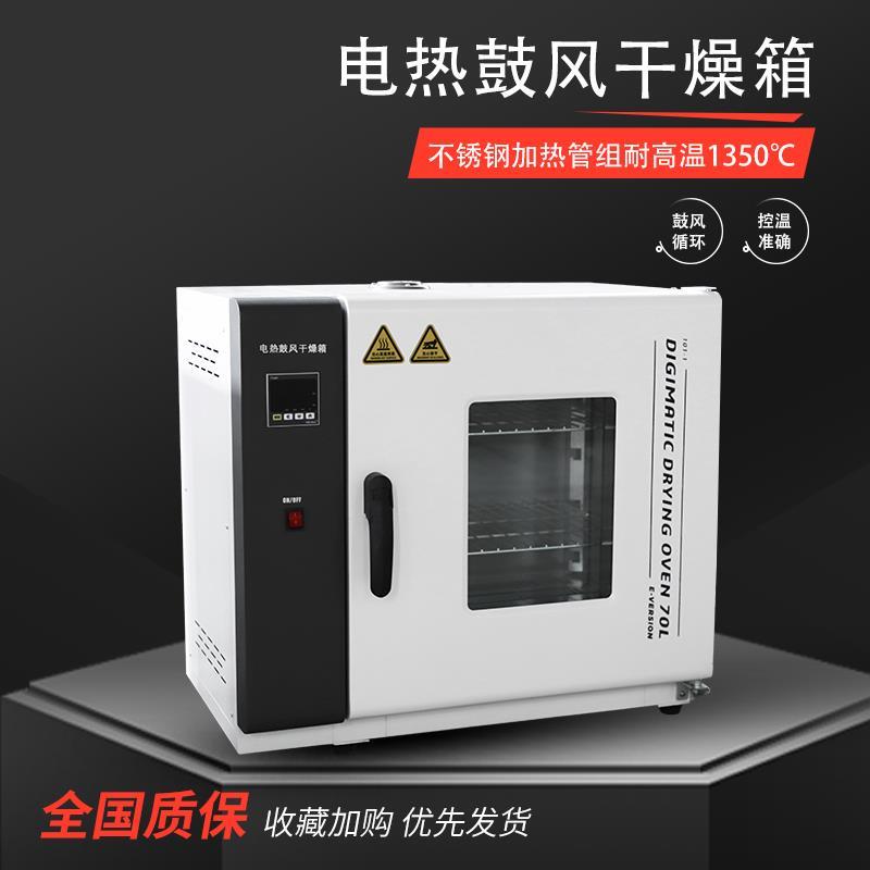 电热鼓风干 干燥箱高温加热小型工业烘箱实验室不锈钢电热恒温干