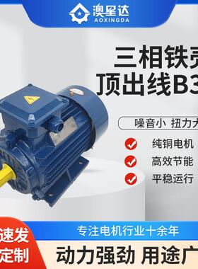 三相380V传动马达机械设备1.1-30W-2800rpm顶出线铜芯配套电机
