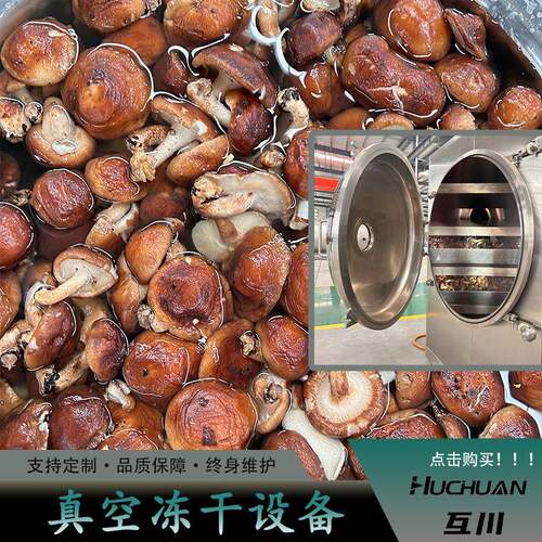 3平方干果冻干机海参真空冻干设备香料真空冷冻干燥机