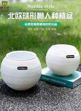 北欧螺纹白色圆球形轻奢花盆家用简约客厅阳台室内外绿植通用花盆