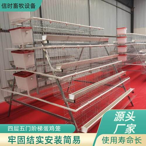 A型阶梯蛋鸡笼源头厂家四层五门阶梯蛋鸡笼冷镀锌鸡舍家用养殖场