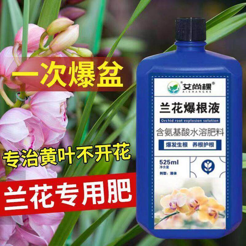 兰灵王兰花爆根液蝴蝶兰君子兰花专用营养液生根促芽根腐黄叶克