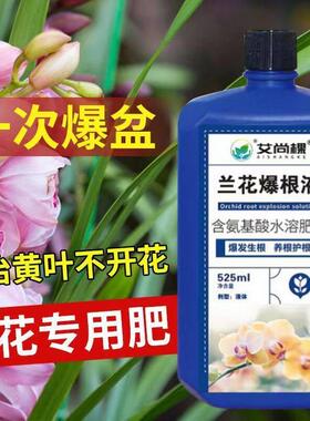 兰灵王兰花爆根液蝴蝶兰君子兰花专用营养液生根促芽根腐黄叶克