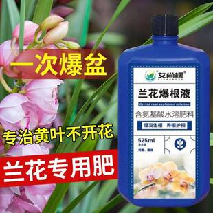 兰灵王兰花爆根液蝴蝶兰君子兰花专用营养液生根促芽根腐黄叶克