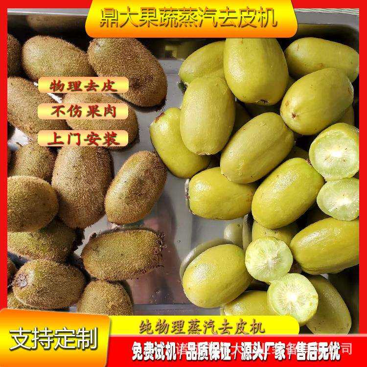 全自动猕猴桃去皮机 木薯粉加工去皮设备 果蔬红薯蒸汽去皮机