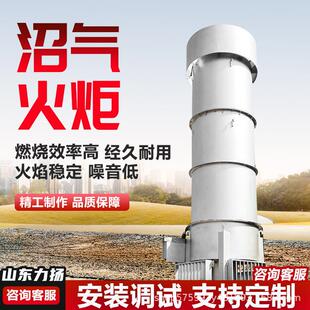 废气处备填埋场燃烧器生活垃圾焚烧发电1000立方内燃式 沼气火炬