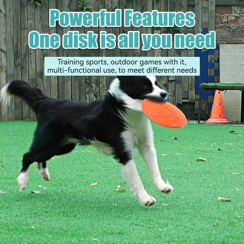 Pet Dog Flying Disk Toy Silicone Material Environmentally Fr