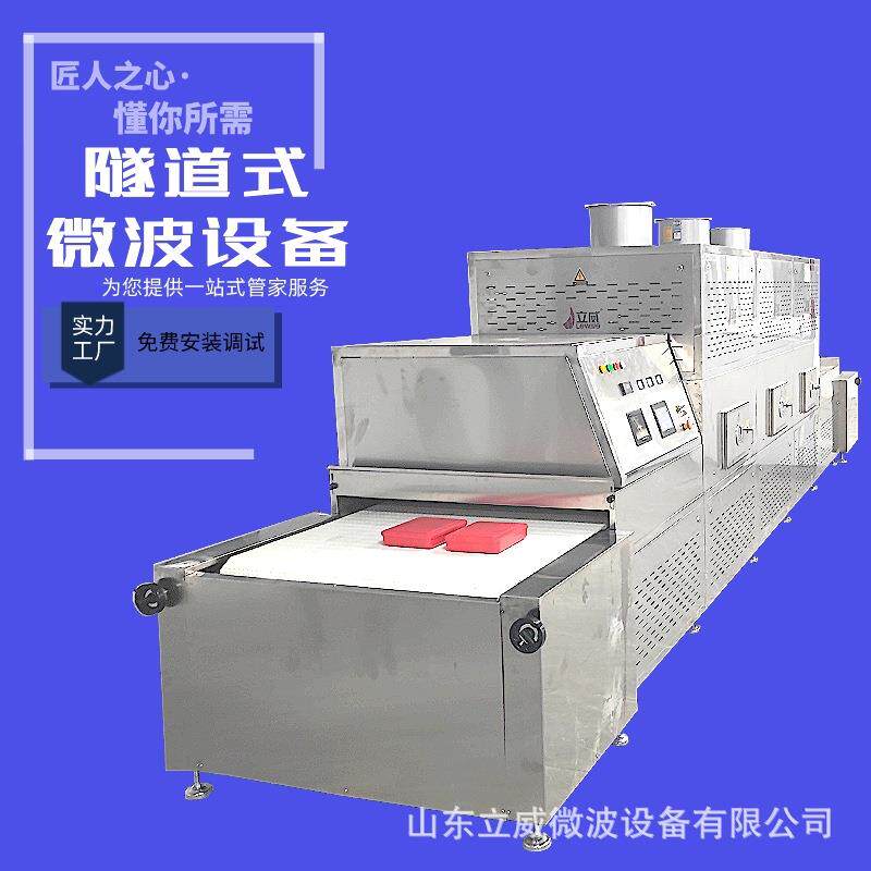 微波香榧烘烤熟化设备隧道式坚果灭活杀虫卵设备干果类烘焙机