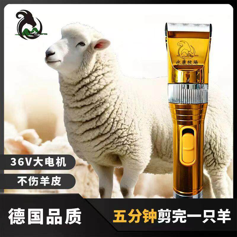 永康大功率羊毛剪电推子宠物刮毛电动剃毛适用牛羊猫狗畜牧剪毛器