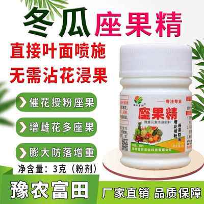 冬瓜座果精叶面喷施代替沾花浸果冬瓜授粉座果膨果增雌花增果重