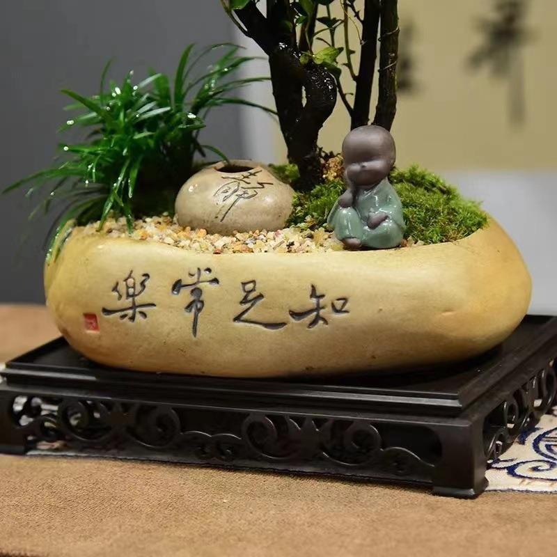 【精选】紫檀木盆景新中式室内好养桌面摆件绿植花卉盆栽鲜活