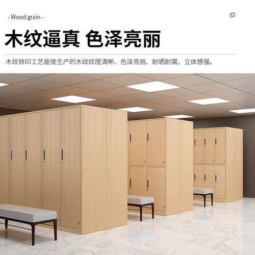 钢制纹更衣柜木员工宿舍铁皮柜储房物柜浴室健身ZY-木纹存包柜子
