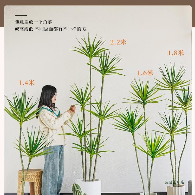 奢厅F967658T绿植龙盆血树龙客舌兰假树植物盆轻栽室内装饰落地景