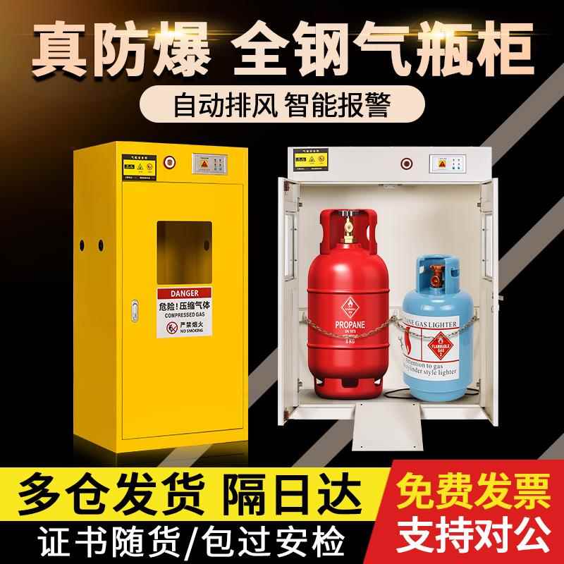 全钢防爆气瓶柜安全柜实验室双瓶瓦斯罐乙炔氮气氢气体钢瓶储存柜