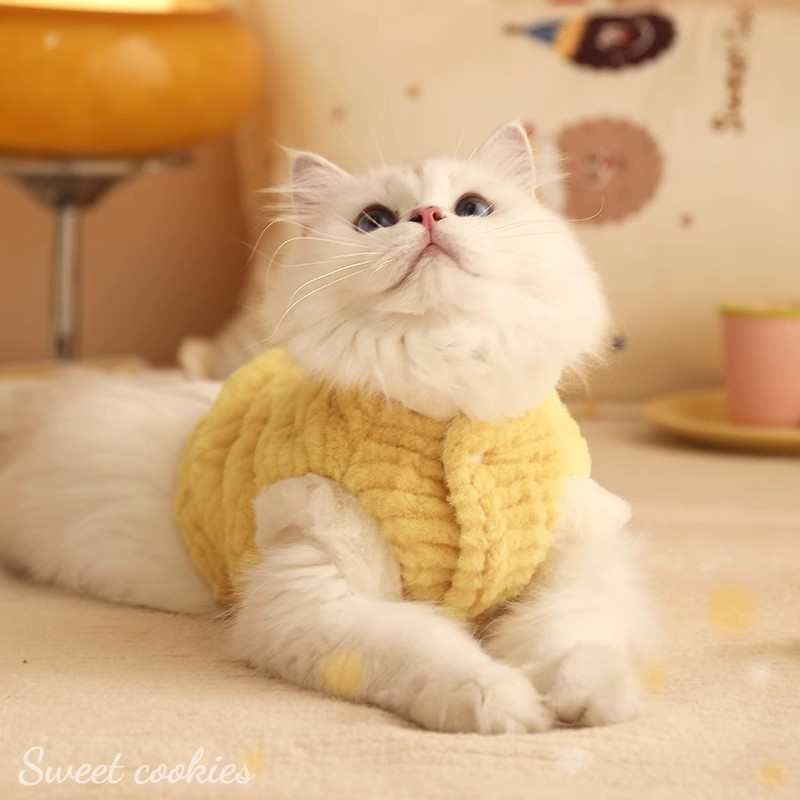保暖冬季猫咪宠物偶布猫棉衣冬装猫猫可爱英蓝衣服掉短背心毛幼防