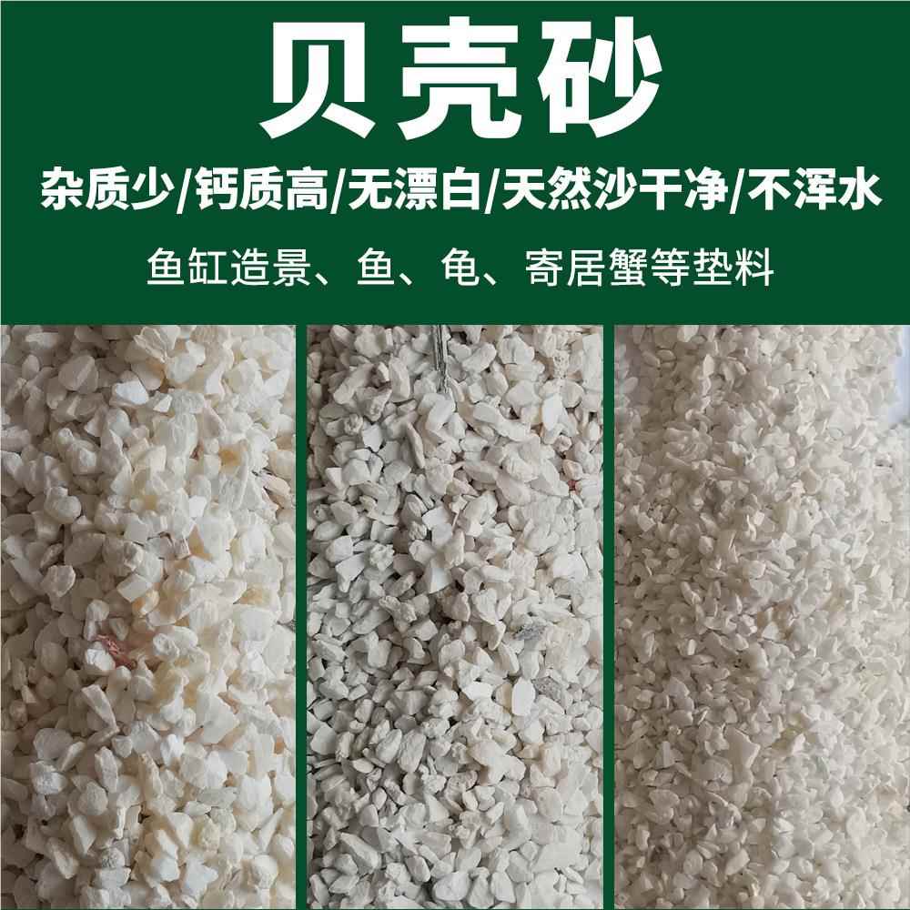 贝壳沙湖砂XFN菲律宾沙鱼缸寄居蟹沙专用造景钙沙沙三湖慈鲷贝三