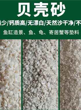 贝菲壳沙三鱼湖砂律宾沙缸寄居蟹专用沙造景钙三湖慈鲷沙沙HHA贝