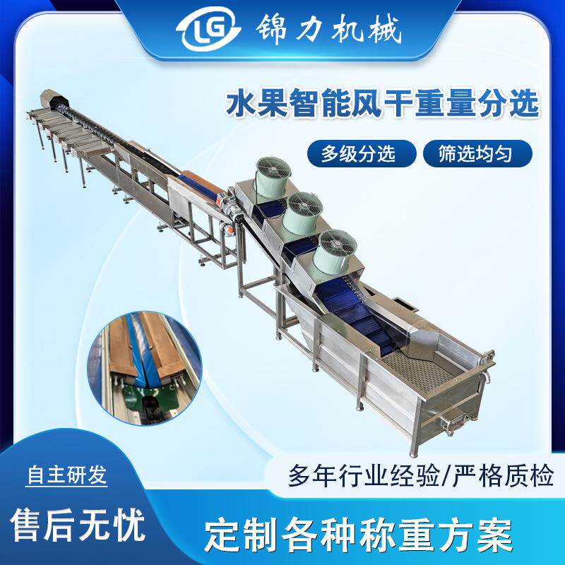 J水果智能分选机土豆苹果柑橘橘子智能分选重量分拣