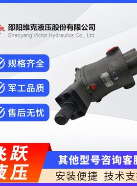邵阳维克液压10/25/32/40/63/80/160/250/400YCY14-1B轴向柱塞泵