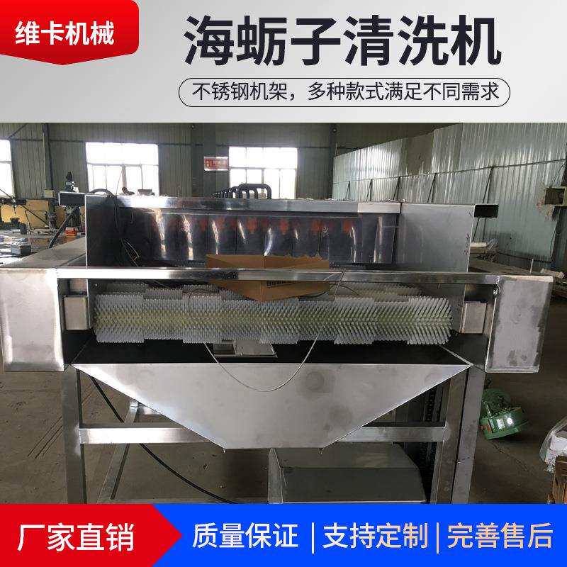 维供应牡蛎平行毛辊清洗机毛棍清洗设备海蛎子去泥沙毛辊清洗机