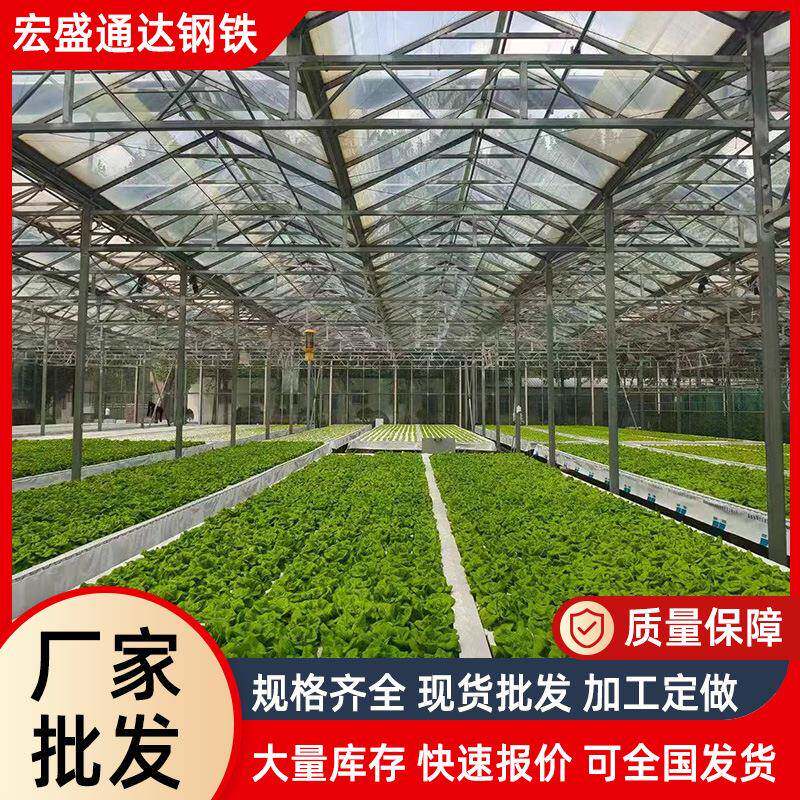 农业育苗棚设计安装温室日光暖棚草莓棚薄膜蔬菜种植插地棚