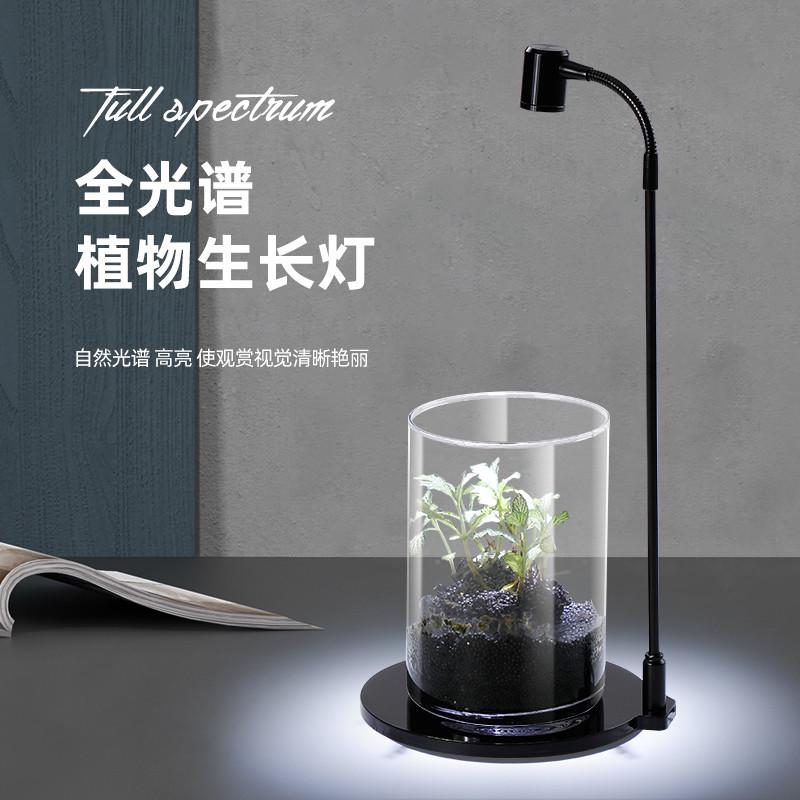 包邮led苔藓植物灯亚克力鱼缸射灯USB微景观生态瓶灯造景水草灯