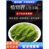 海葡萄即食儿童新鲜海草海藻商用压缩凉拌菜干 健康 干货小孩吃